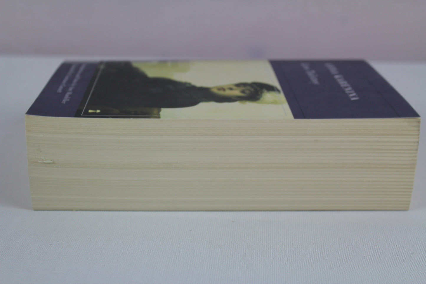 Anna Karenina (Barnes & Noble Classics) by Leo Tolstoy, George Stade, Constance Garnett, Amy Mandelker