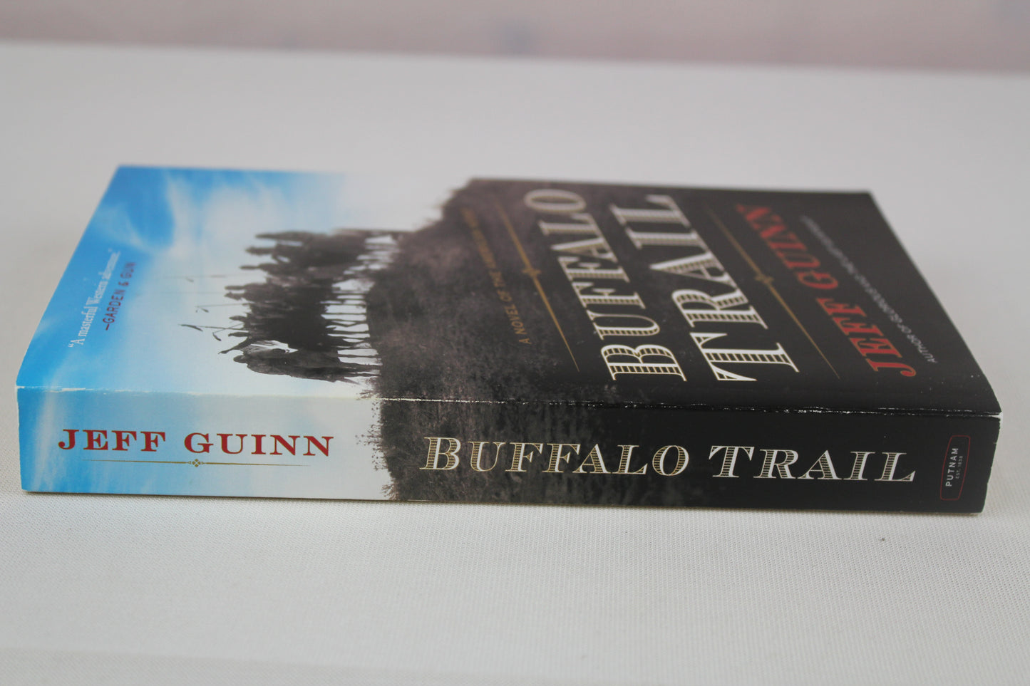 Buffalo Trail: A Novel of the American West (A Cash McLendon Novel) by Jeff Guinn
