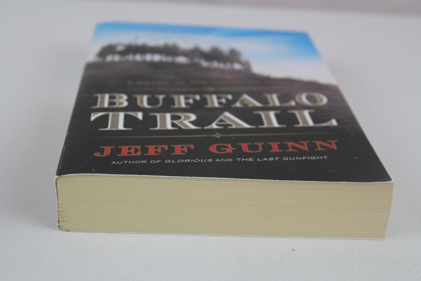 Buffalo Trail: A Novel of the American West (A Cash McLendon Novel) by Jeff Guinn
