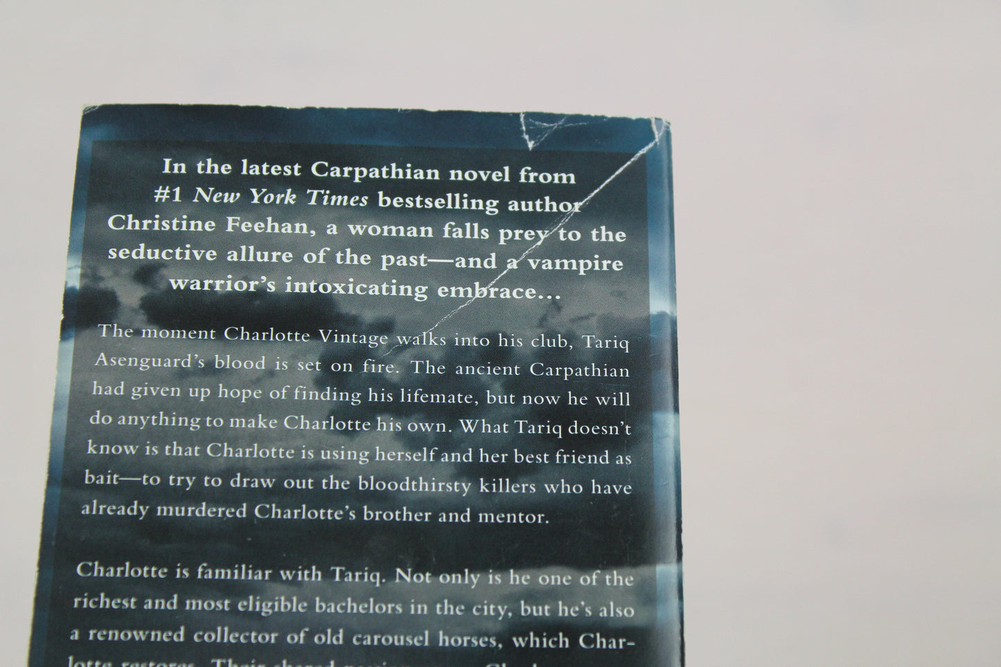 Dark Carousel (A Carpathian Novel) by Christine Feehan