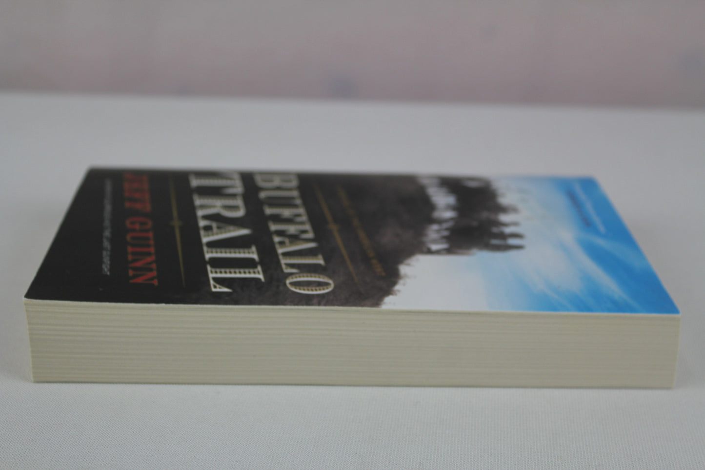 Buffalo Trail: A Novel of the American West (A Cash McLendon Novel) by Jeff Guinn