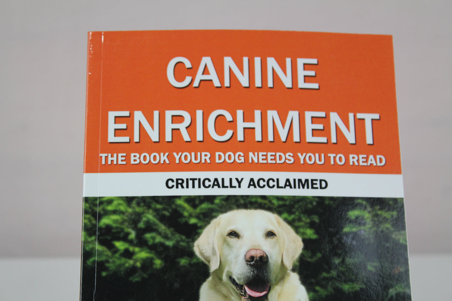 CANINE ENRICHMENT: THE BOOK YOUR DOG NEEDS YOU TO READ by Shay Kelly