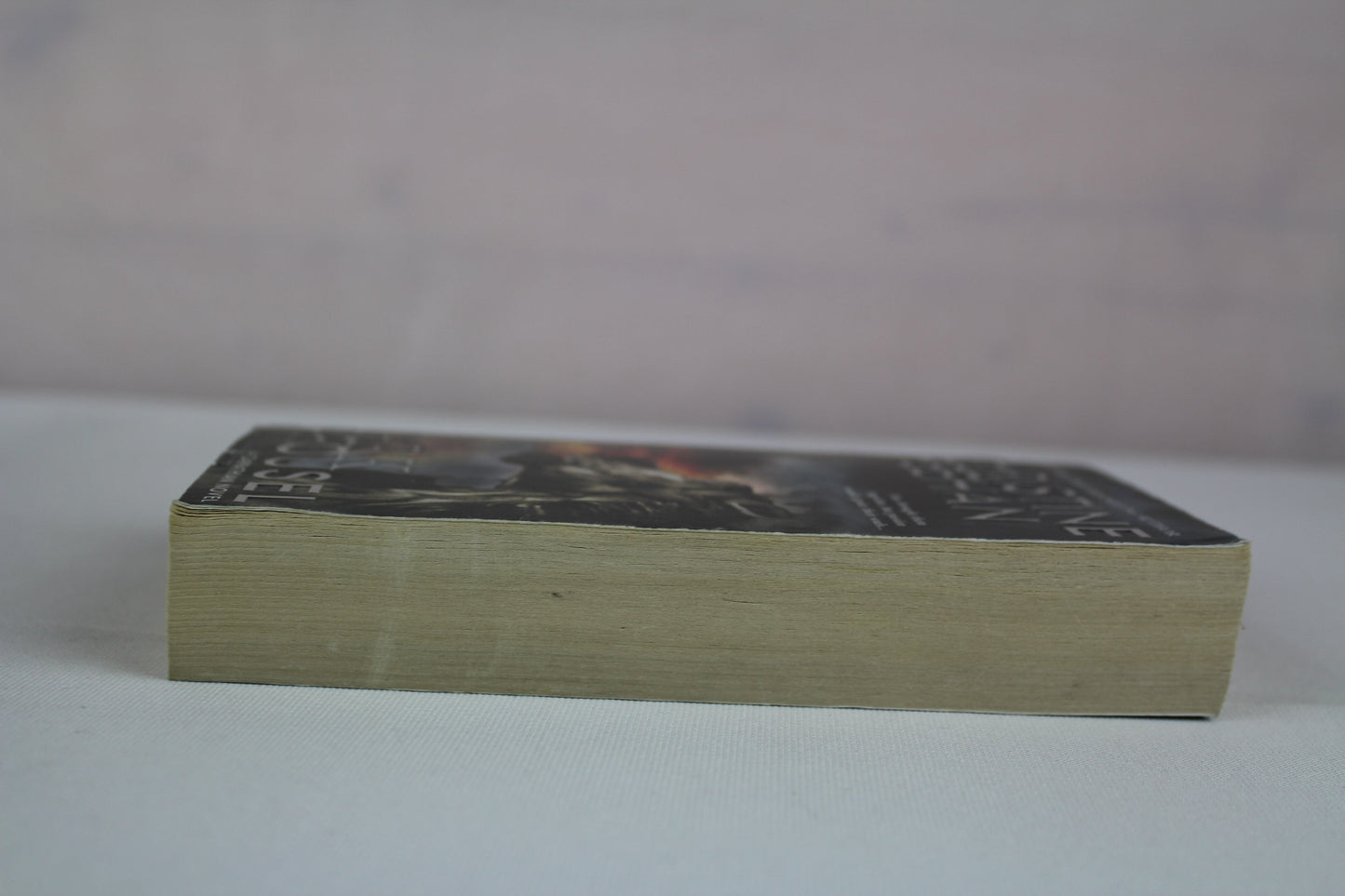 Dark Carousel (A Carpathian Novel) by Christine Feehan