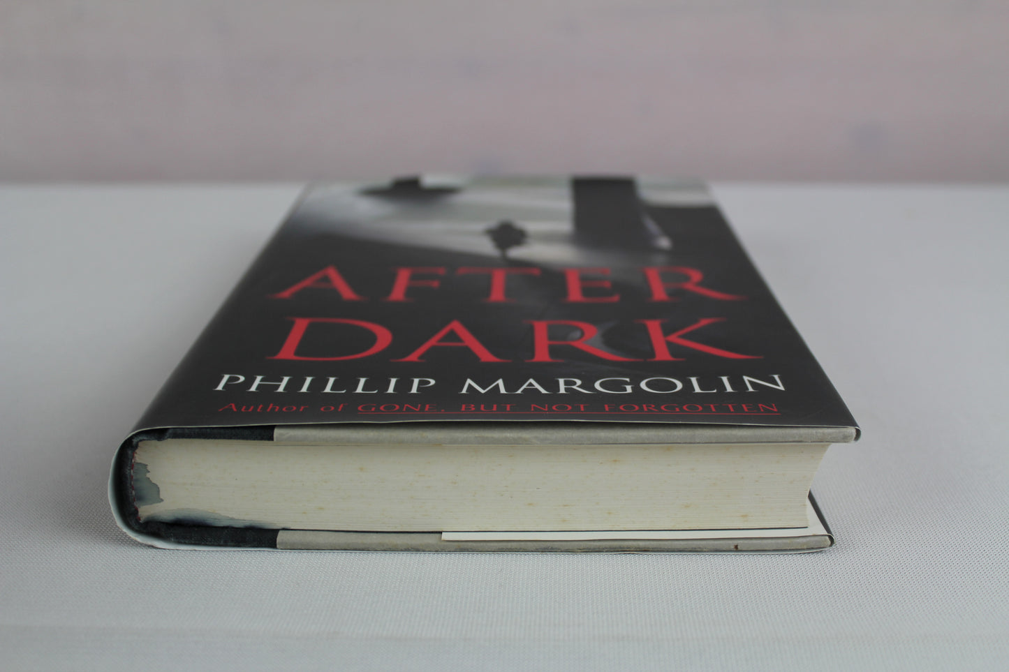 After Dark by Phillip Margolin