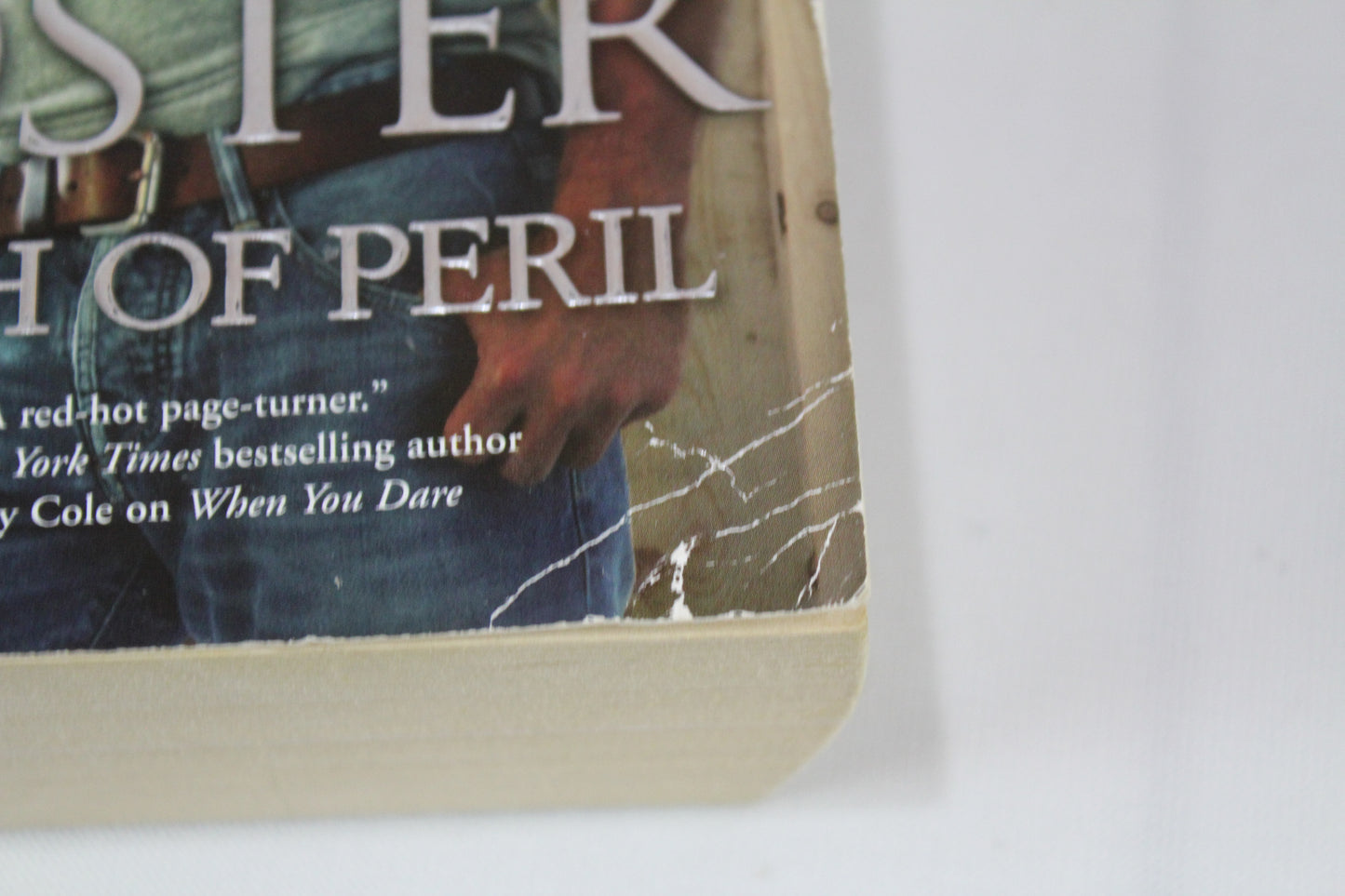 Dash of Peril (Love Undercover, 4) by Lori Foster