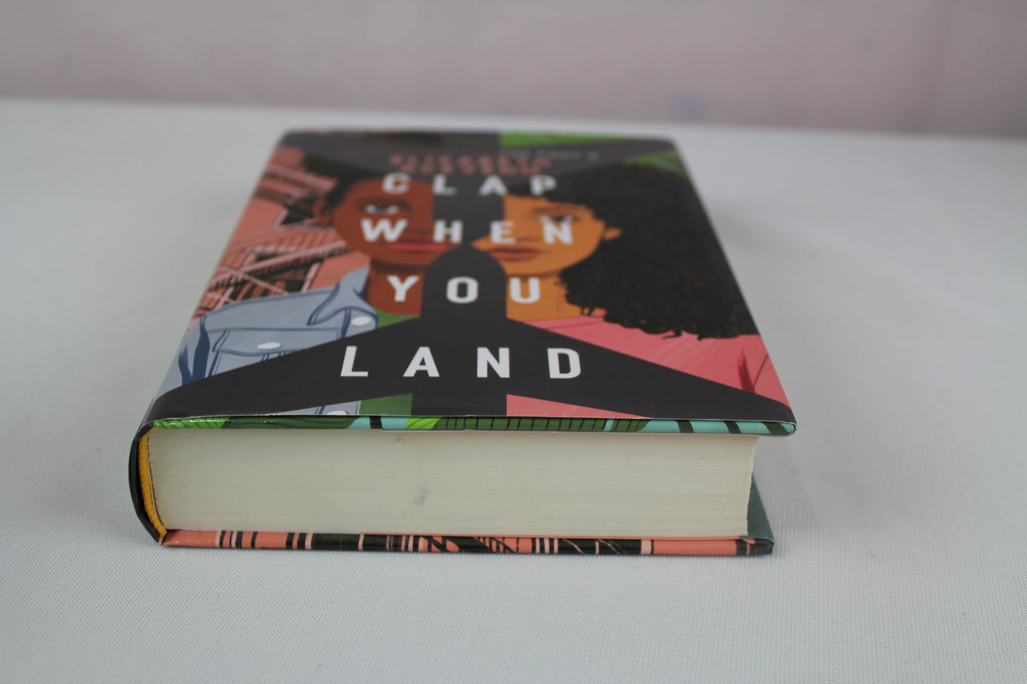 Clap When You Land by Elizabeth Acevedo
