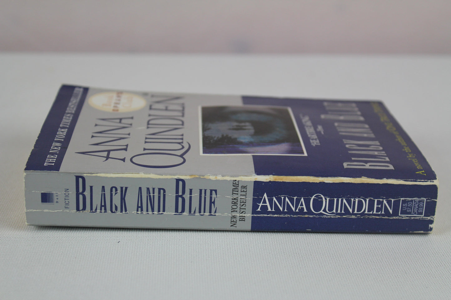 Black and Blue: A Novel (Oprah's Book Club) by Anna Quindlen