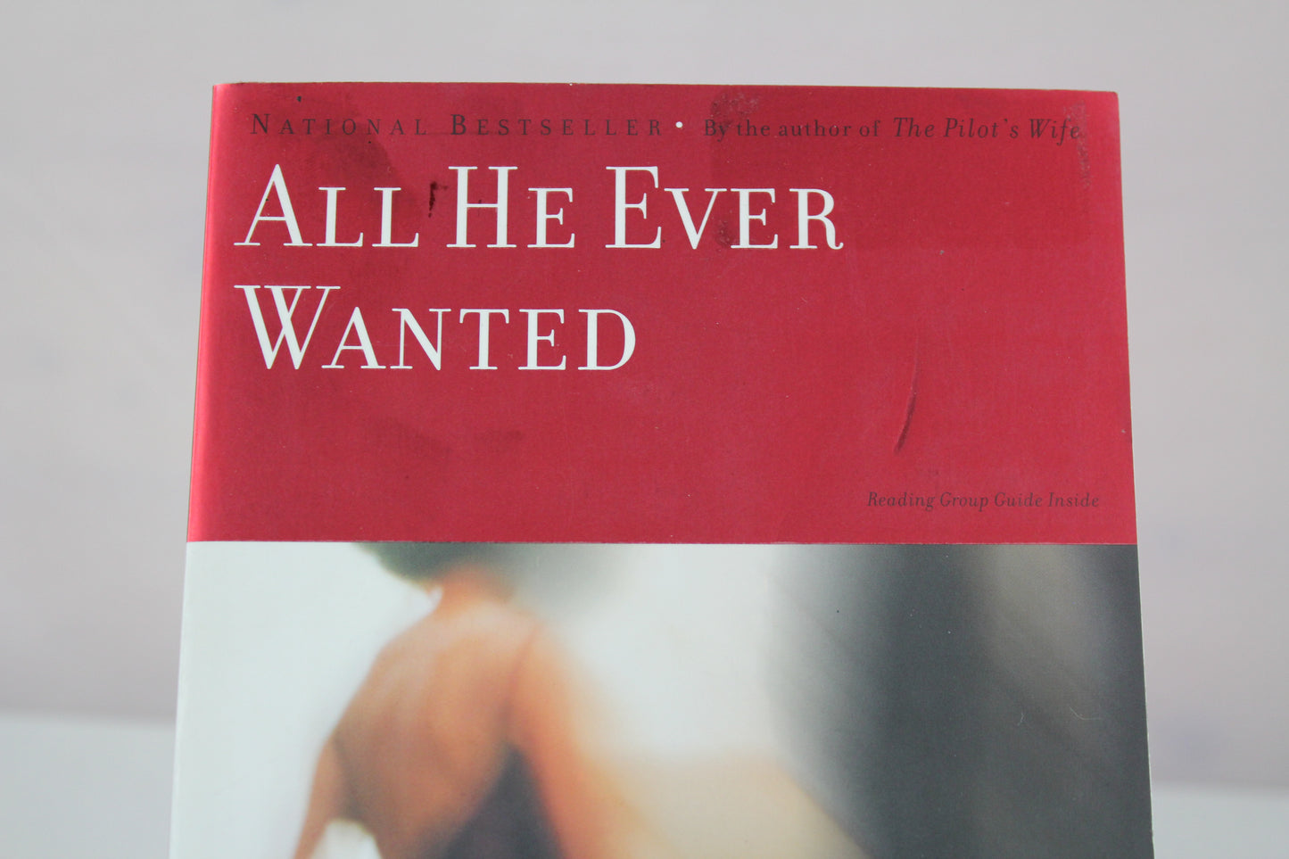 All He Ever Wanted: A Novel by Anita Shreve