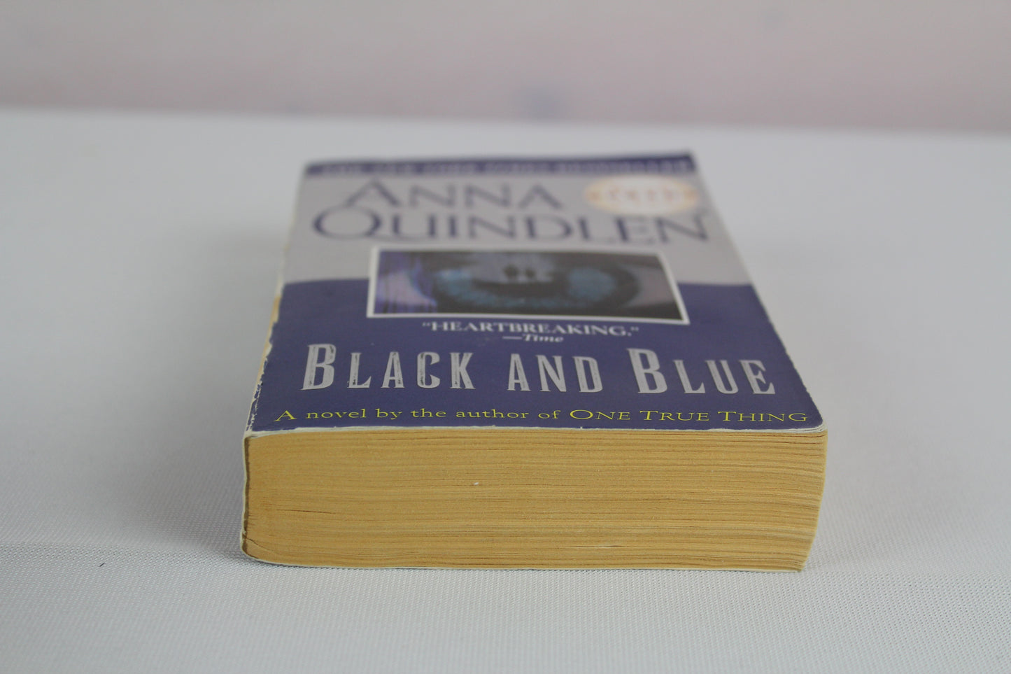 Black and Blue: A Novel (Oprah's Book Club) by Anna Quindlen