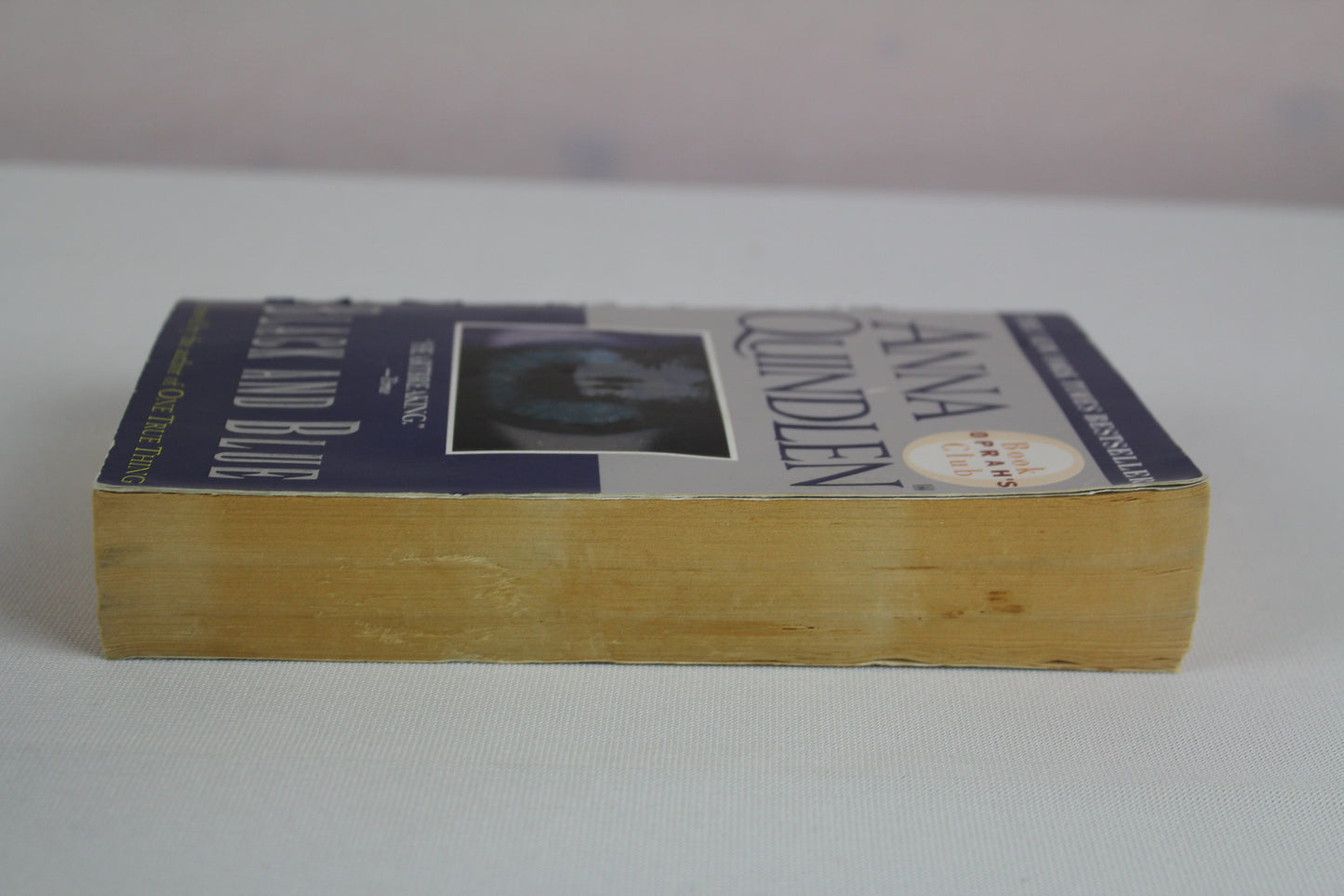 Black and Blue: A Novel (Oprah's Book Club) by Anna Quindlen