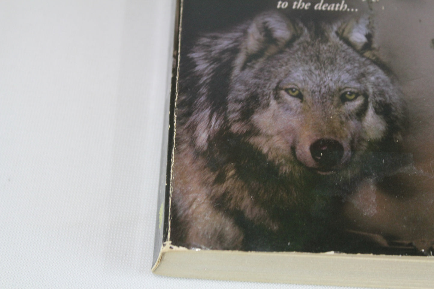 Heart of the Wolf by Terry Spear