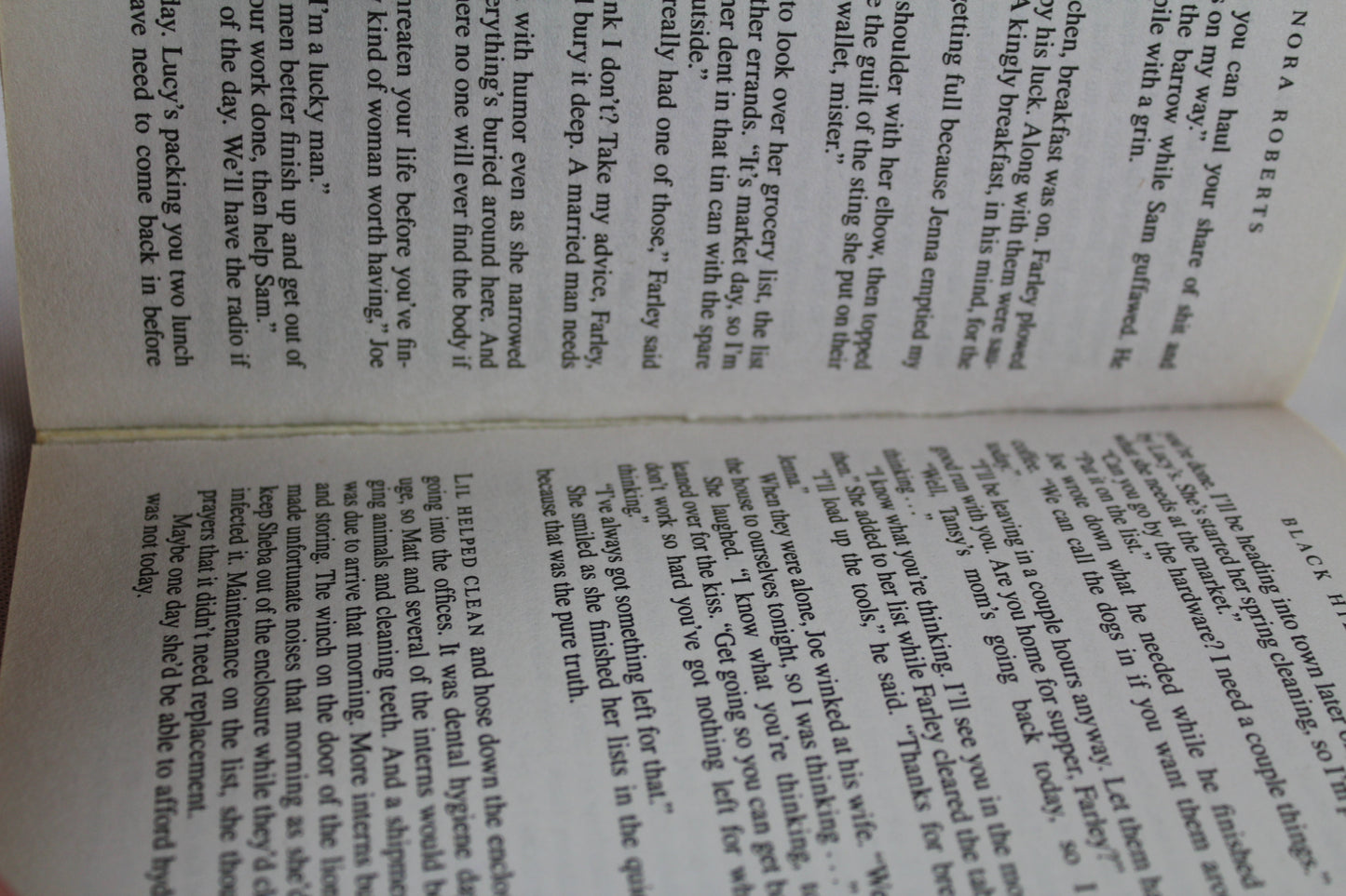 Black Hills by Nora Roberts