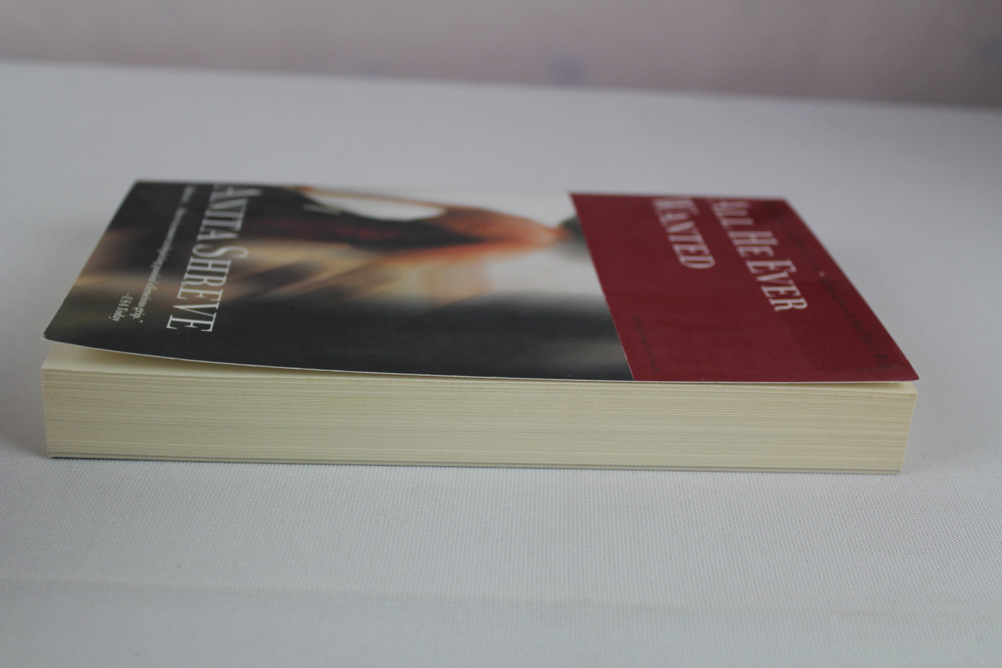 All He Ever Wanted: A Novel by Anita Shreve