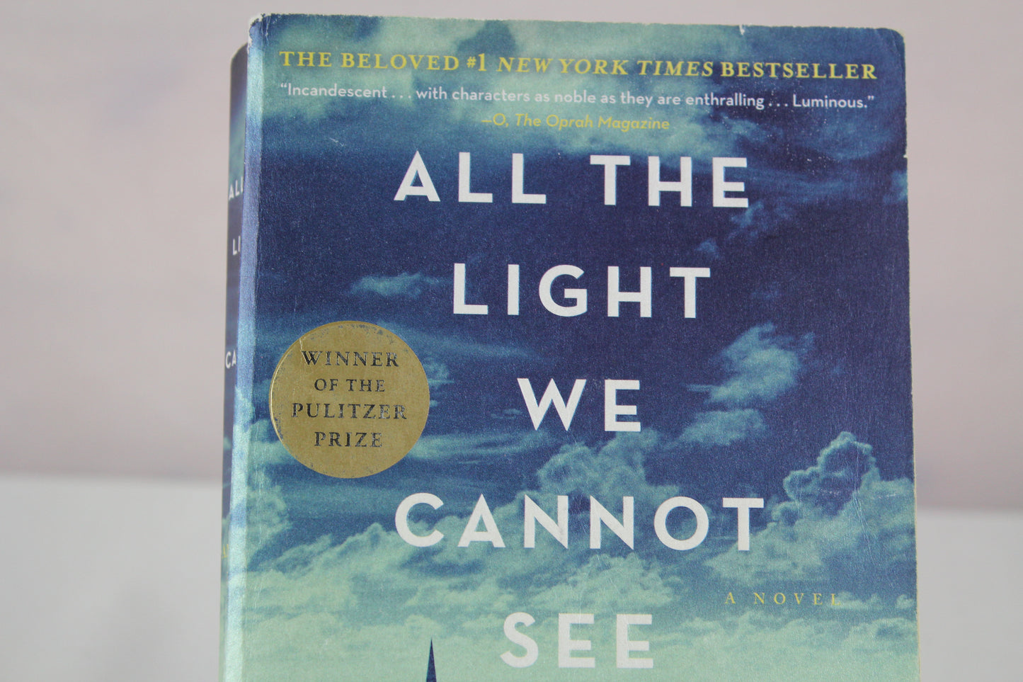 All the Light We Cannot See: A Novel by Anthony Doerr