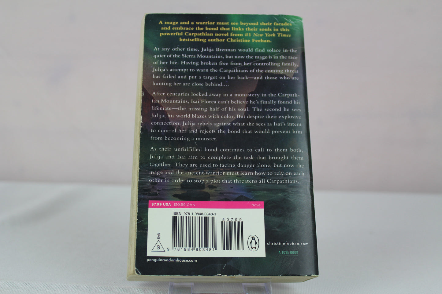 Dark Illusion (A Carpathian Novel) by Christine Feehan