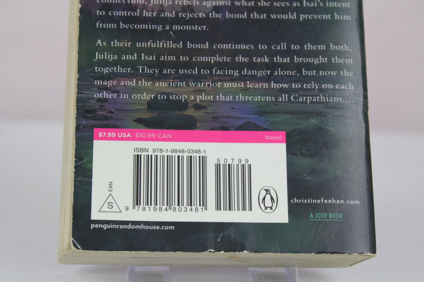 Dark Illusion (A Carpathian Novel) by Christine Feehan