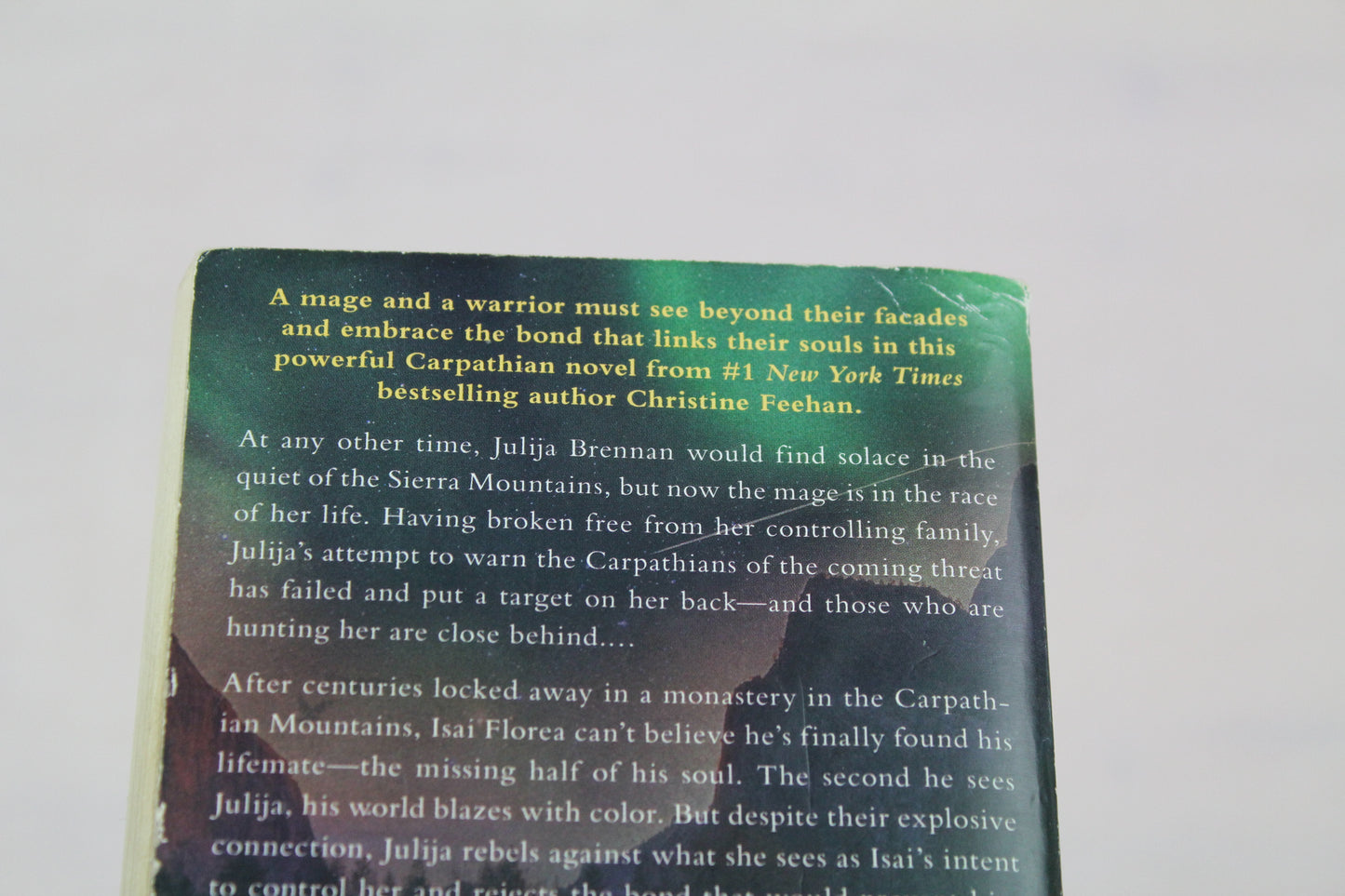 Dark Illusion (A Carpathian Novel) by Christine Feehan
