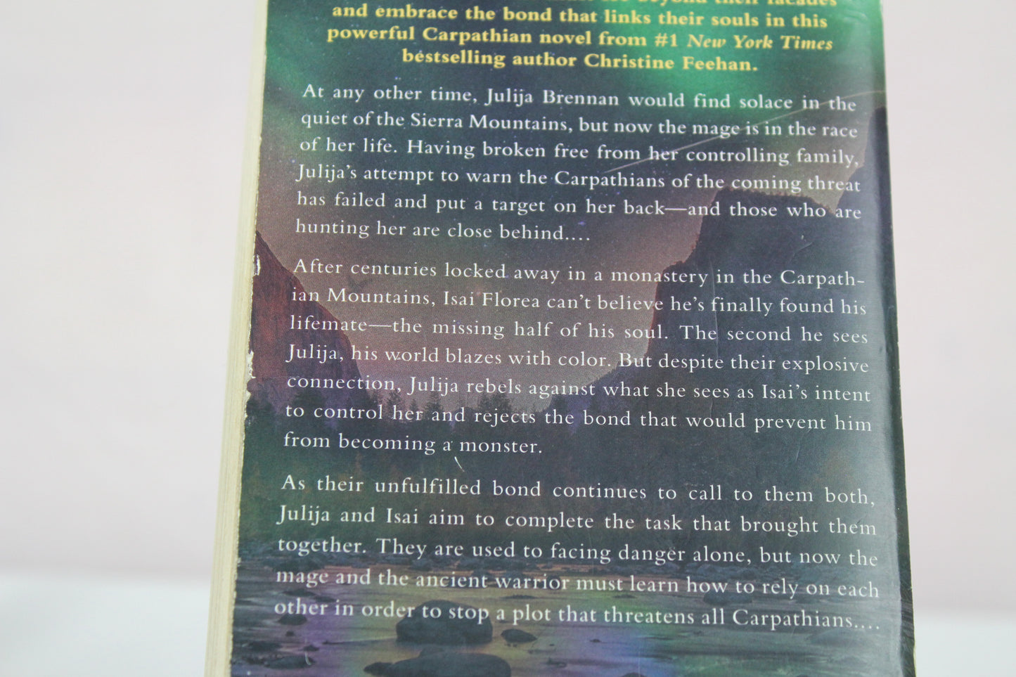 Dark Illusion (A Carpathian Novel) by Christine Feehan