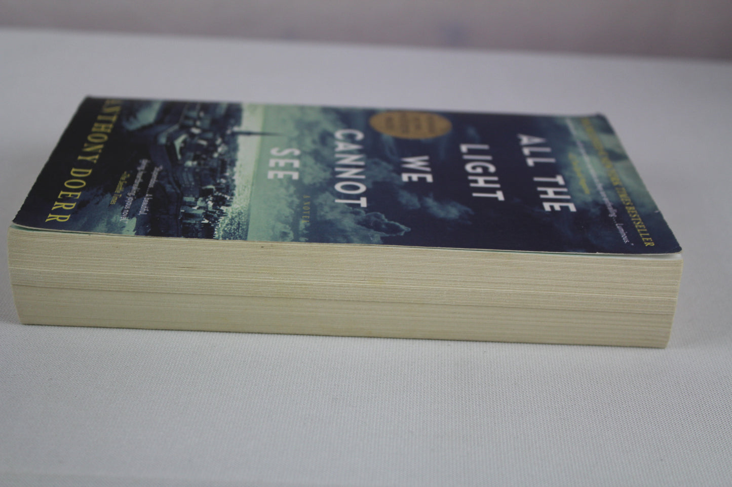 All the Light We Cannot See: A Novel by Anthony Doerr