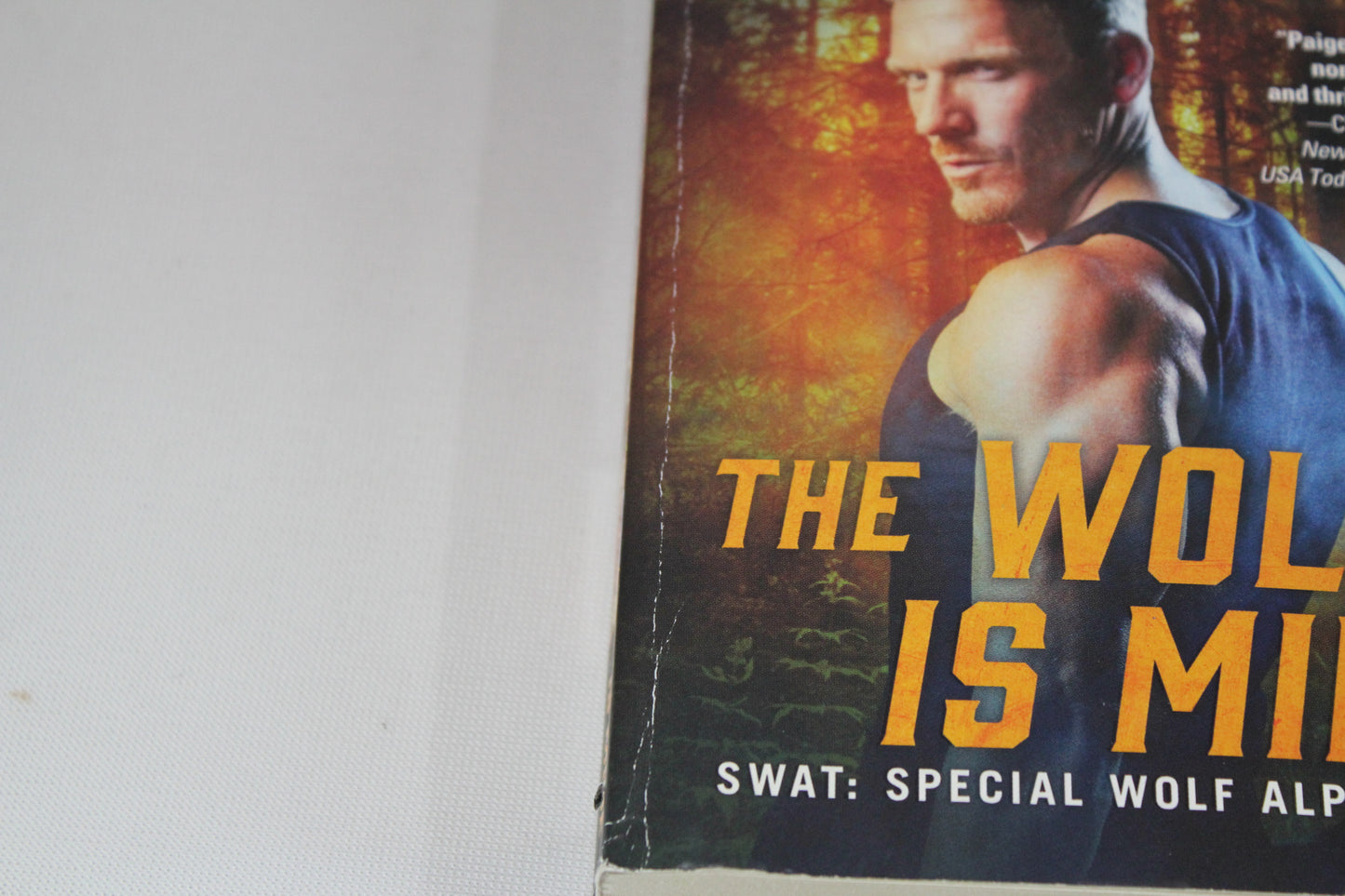 The Wolf Is Mine: 13 by Paige Tyler