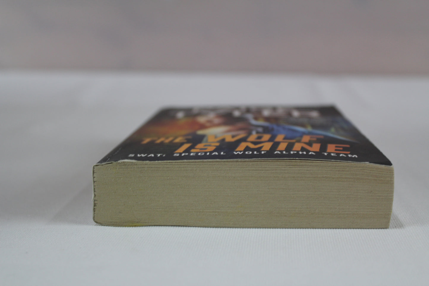 The Wolf Is Mine: 13 by Paige Tyler