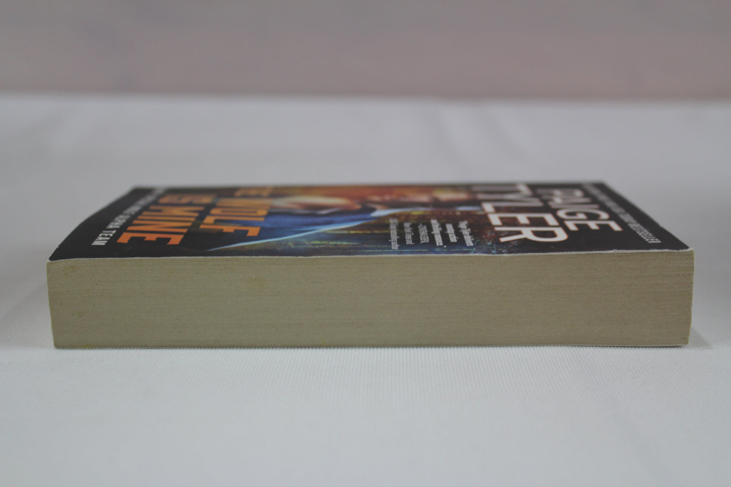 The Wolf Is Mine: 13 by Paige Tyler