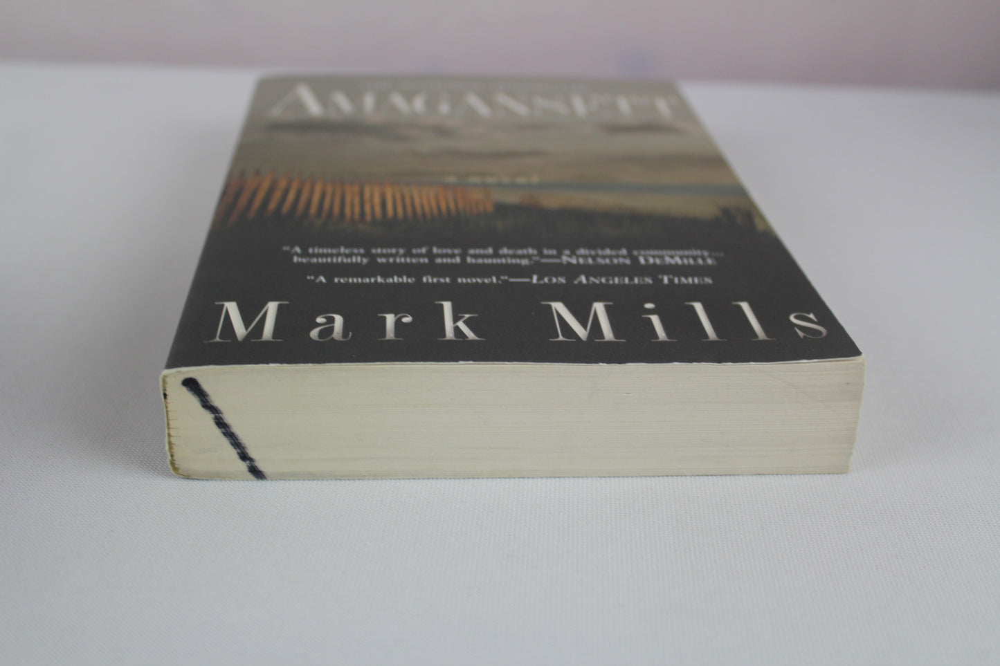 Amagansett by Mark Mills