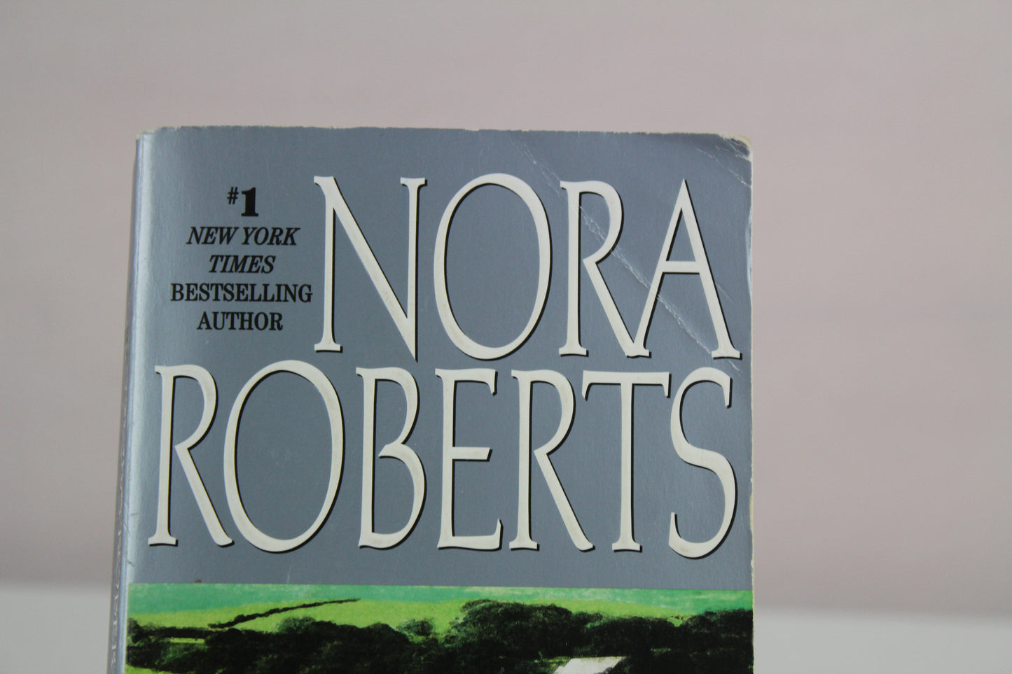 Born in Fire: 1 by Nora Roberts