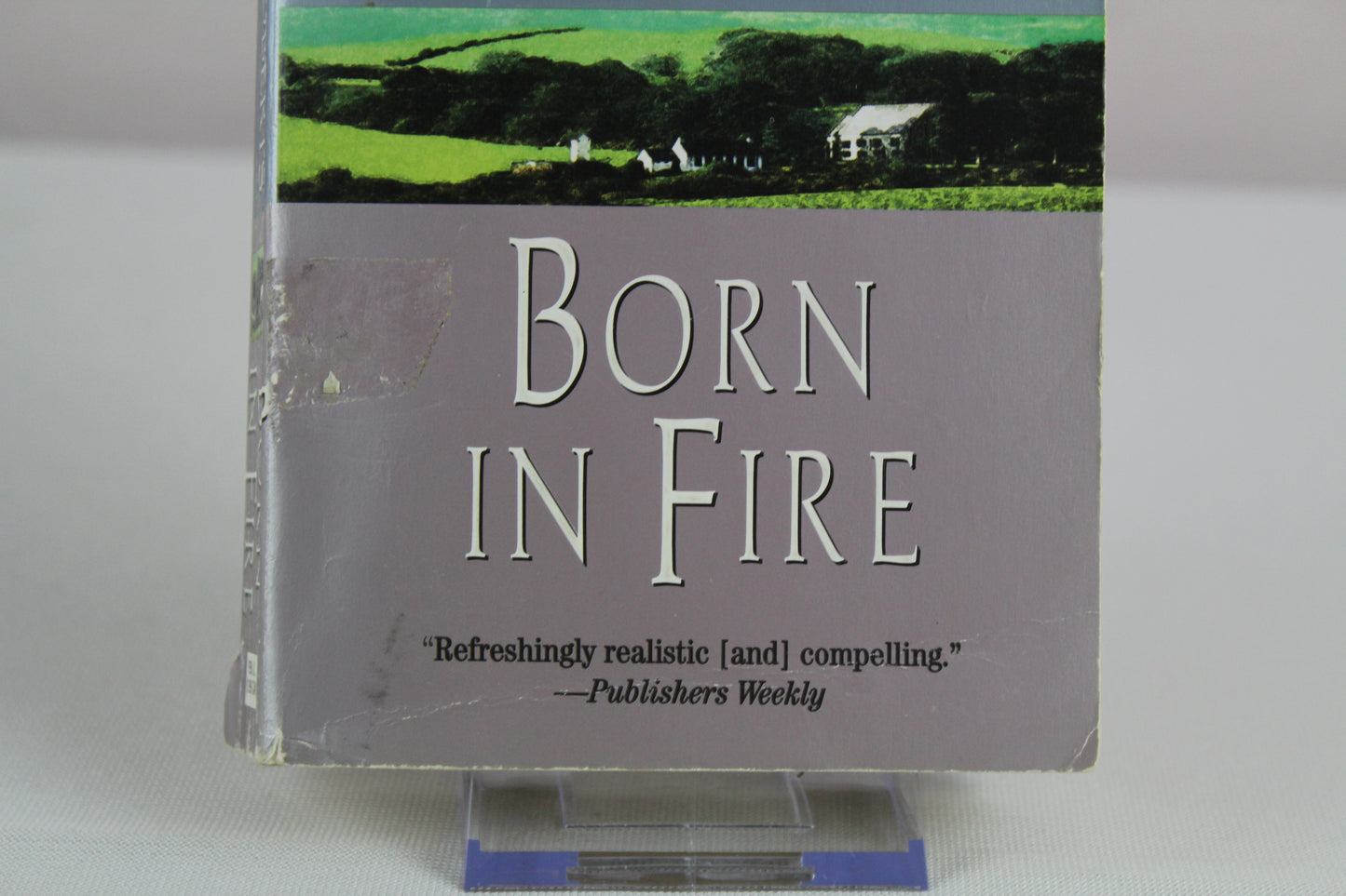 Born in Fire: 1 by Nora Roberts
