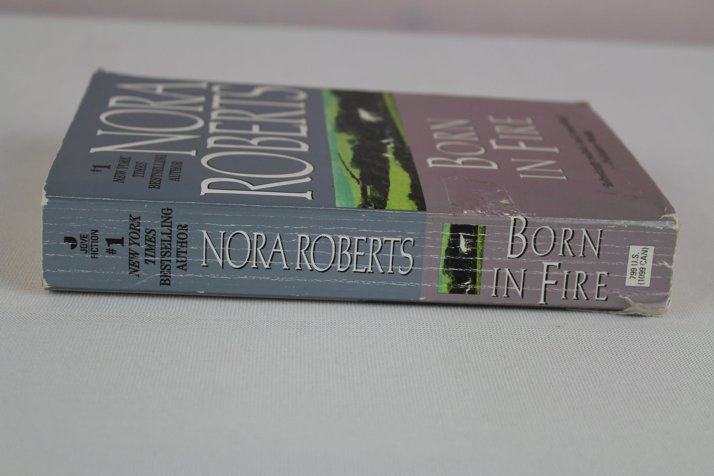 Born in Fire: 1 by Nora Roberts