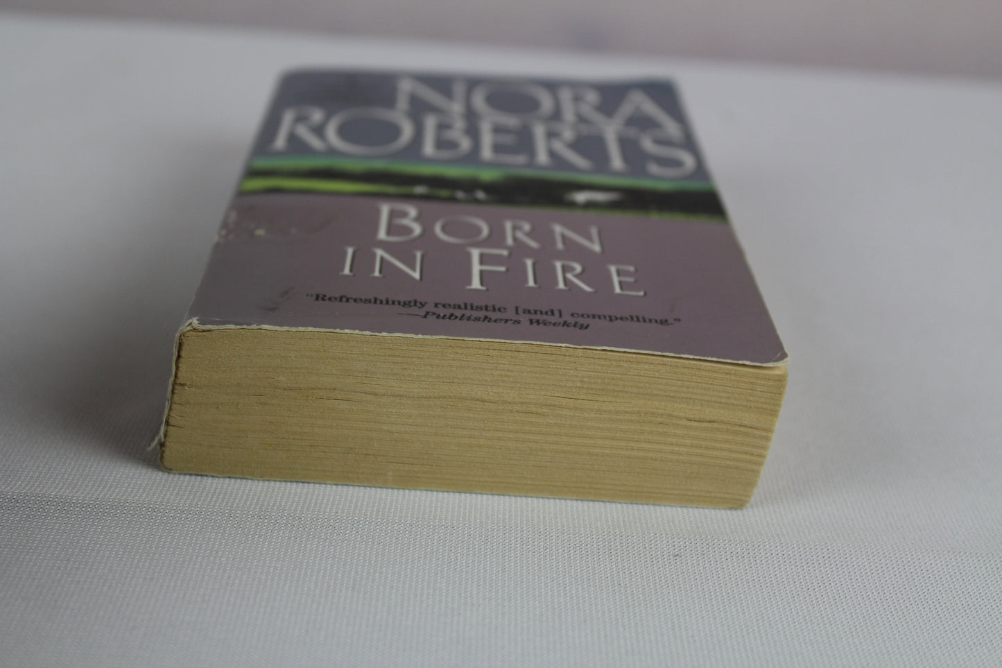 Born in Fire: 1 by Nora Roberts