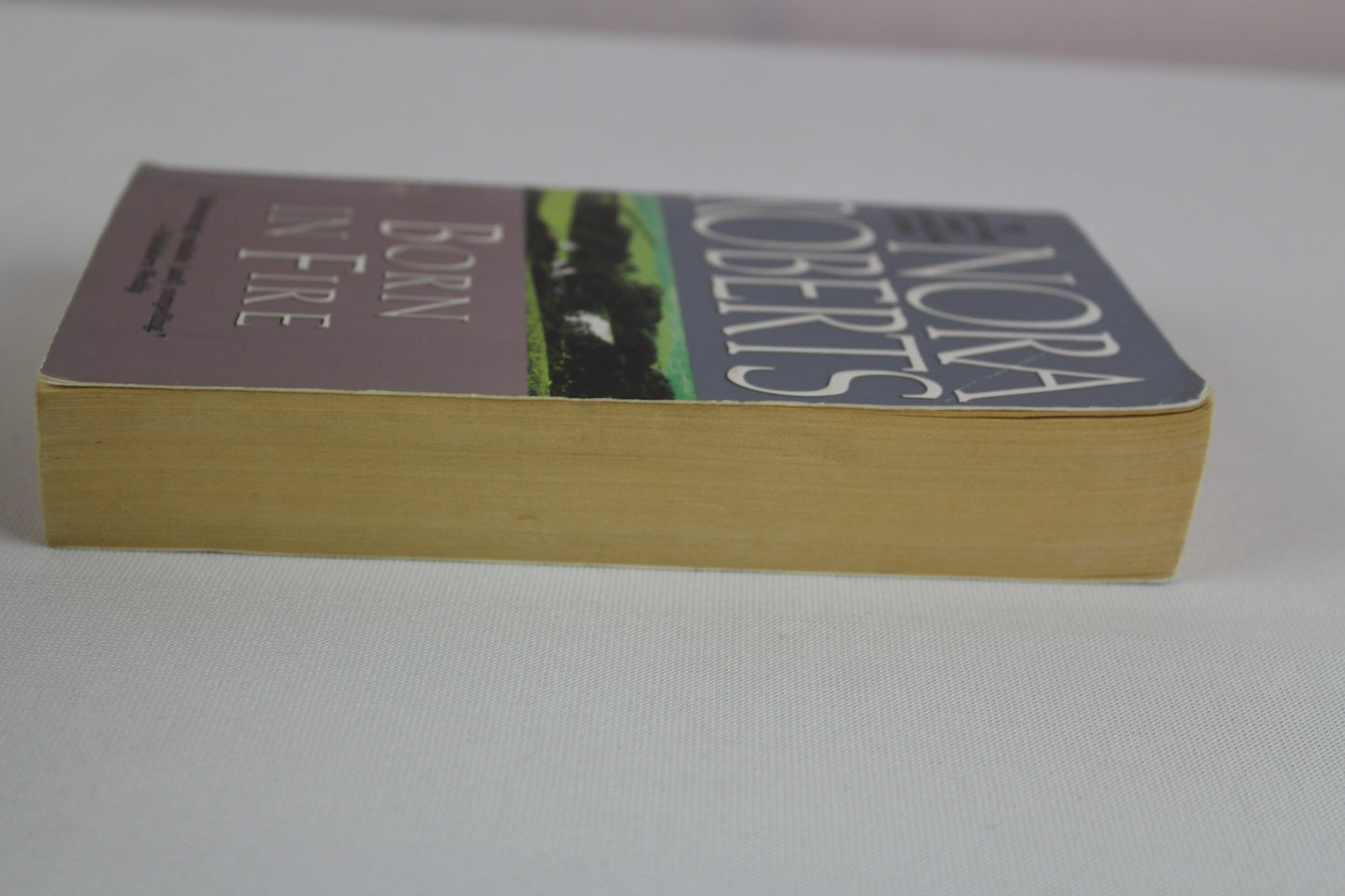 Born in Fire: 1 by Nora Roberts