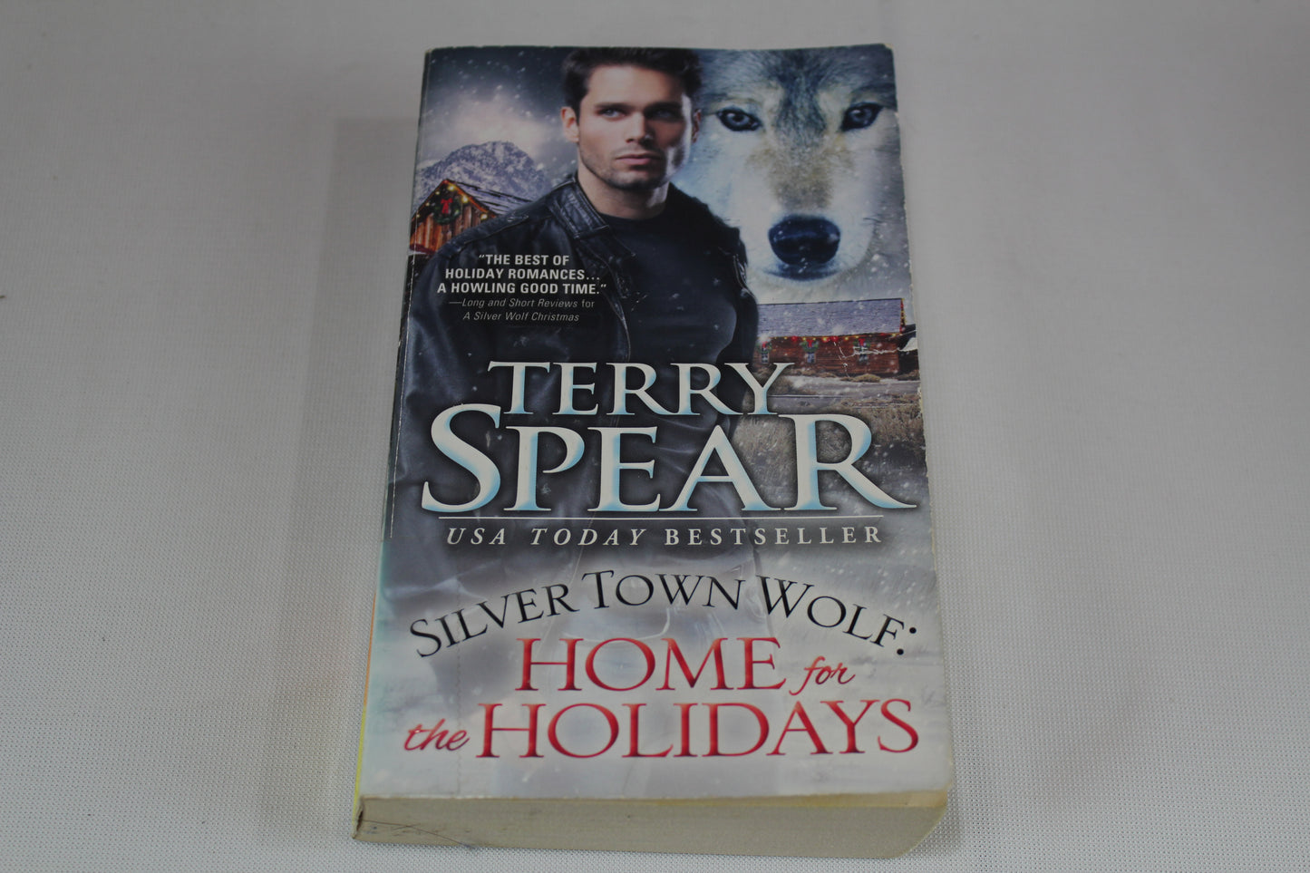 Silver Town Wolf: Home for the Holidays by Terry Spear
