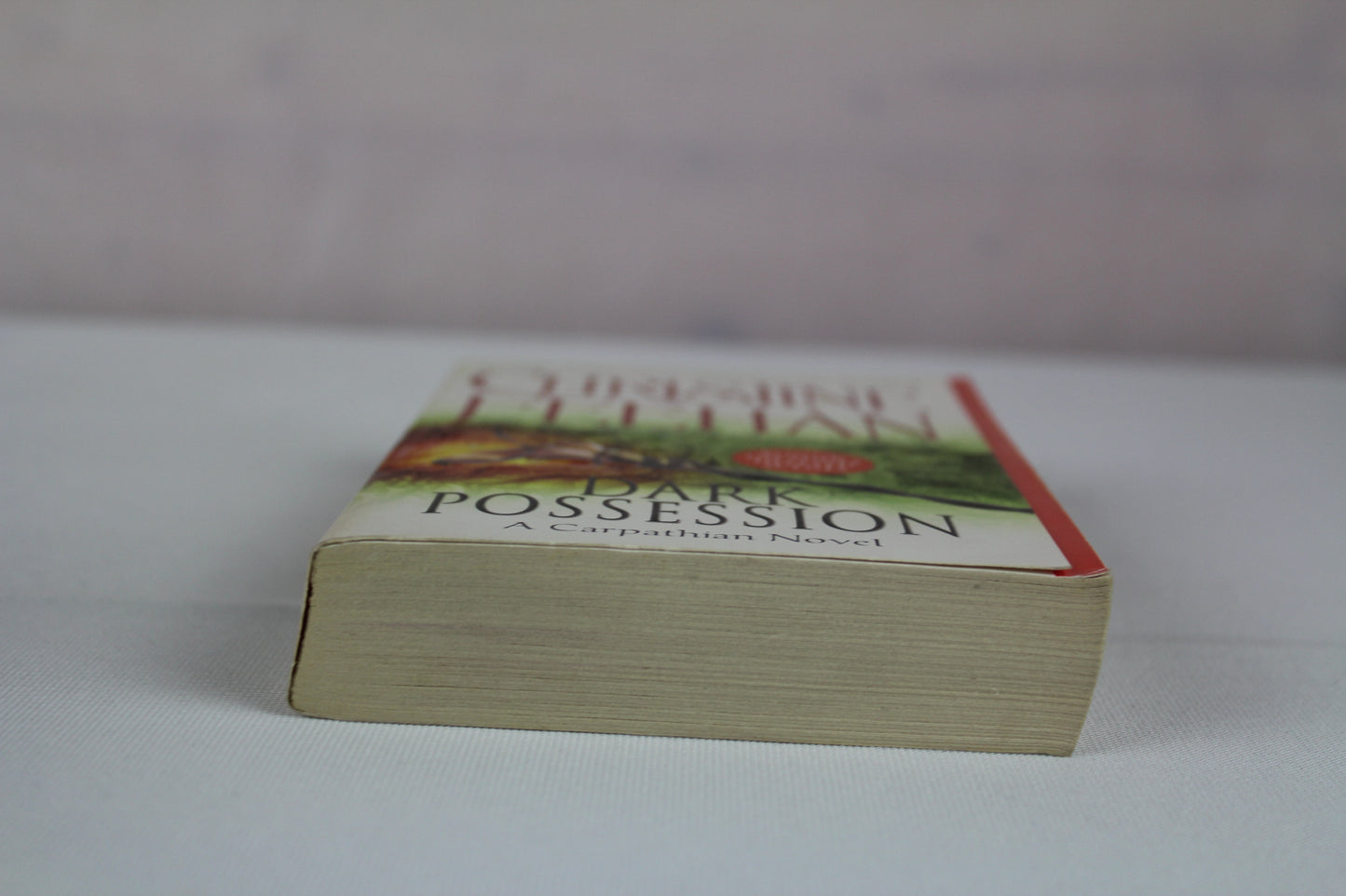 Dark Possession (A Carpathian Novel) by Christine Feehan