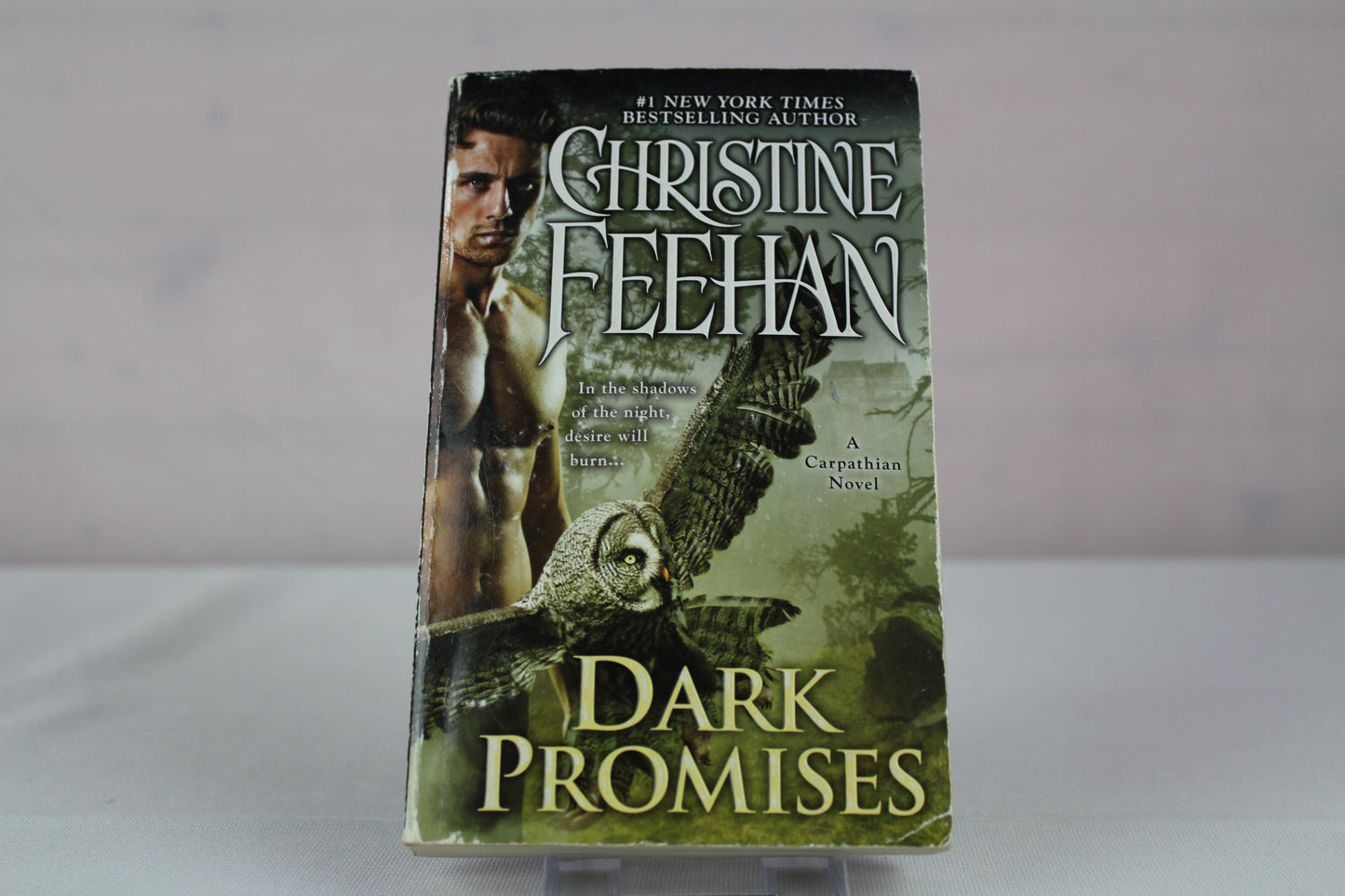 Dark Promises (A Carpathian Novel) by Christine Feehan