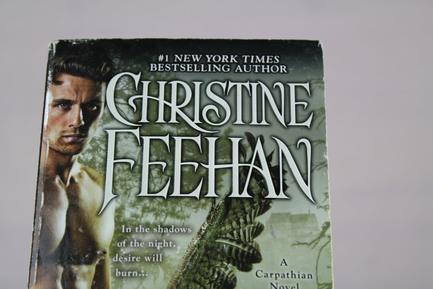 Dark Promises (A Carpathian Novel) by Christine Feehan