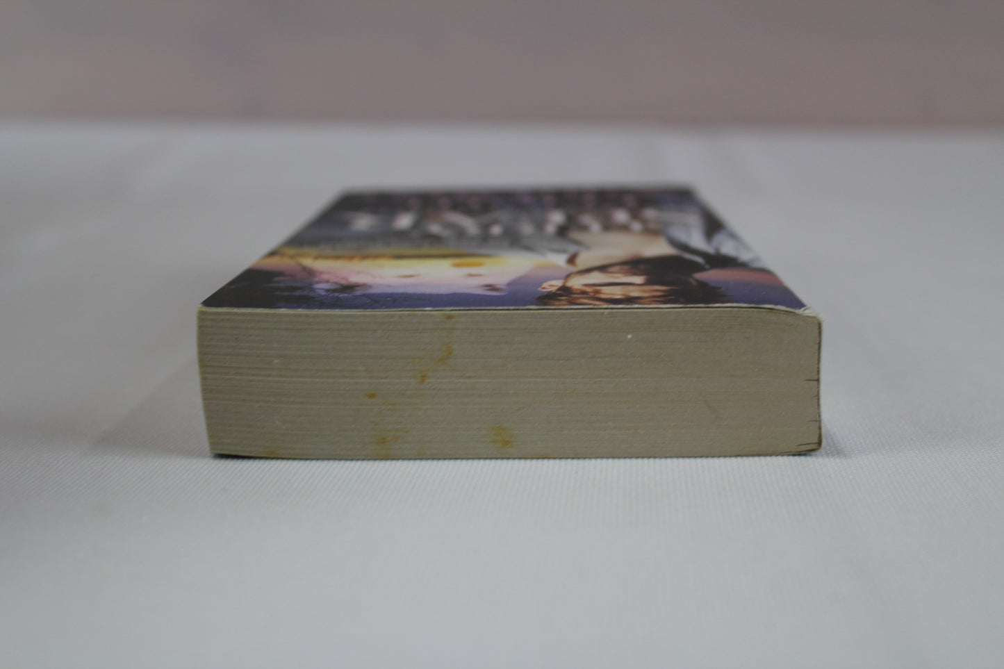 Flight of the White Wolf by Terry Spear