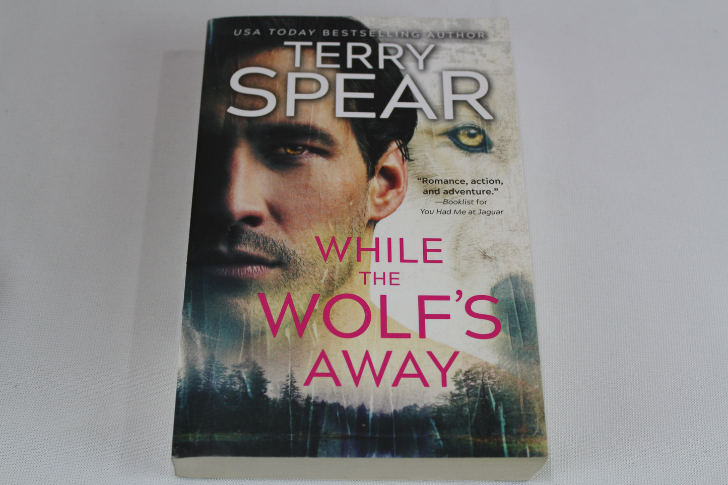 While the Wolf's Away (White Wolf, 3) by Terry Spear