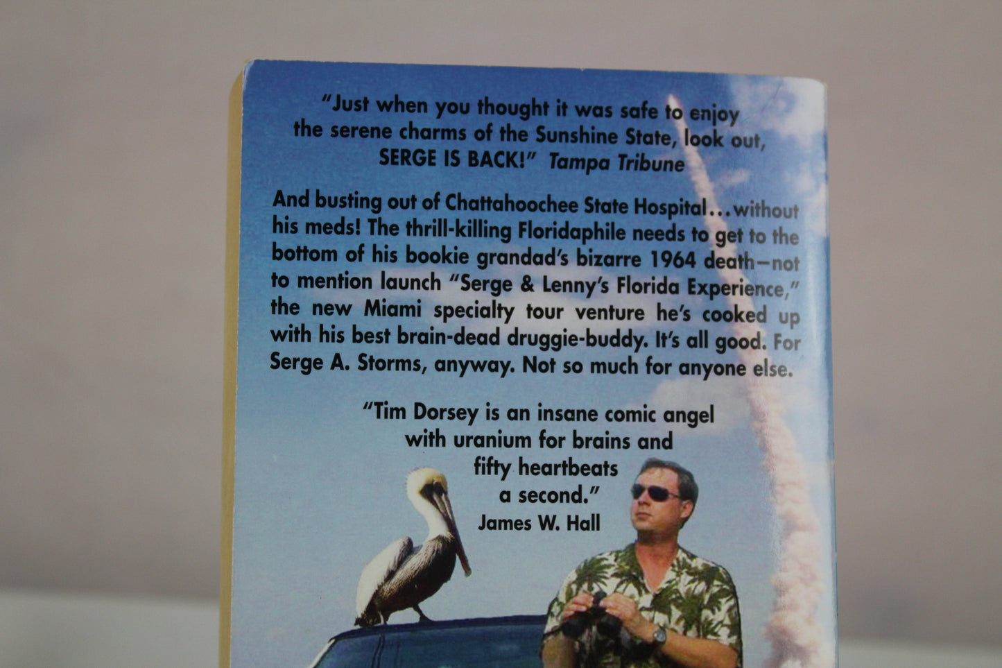 Cadillac Beach: A Darkly Hilarious Florida Crime Thriller of Murder and Mystery (Serge Storms, 6) by Tim Dorsey