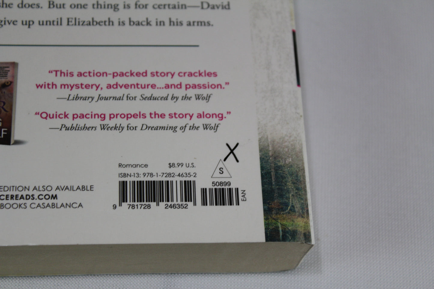 While the Wolf's Away (White Wolf, 3) by Terry Spear