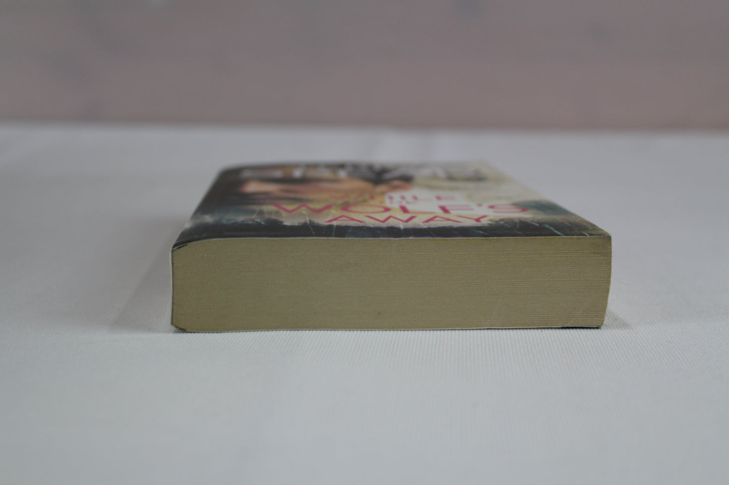 While the Wolf's Away (White Wolf, 3) by Terry Spear