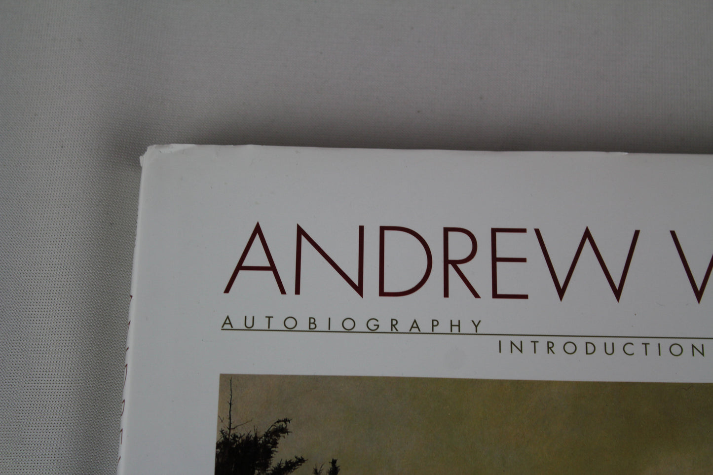 Andrew Wyeth: Autobiography by Andrew Wyeth, Thomas Hoving