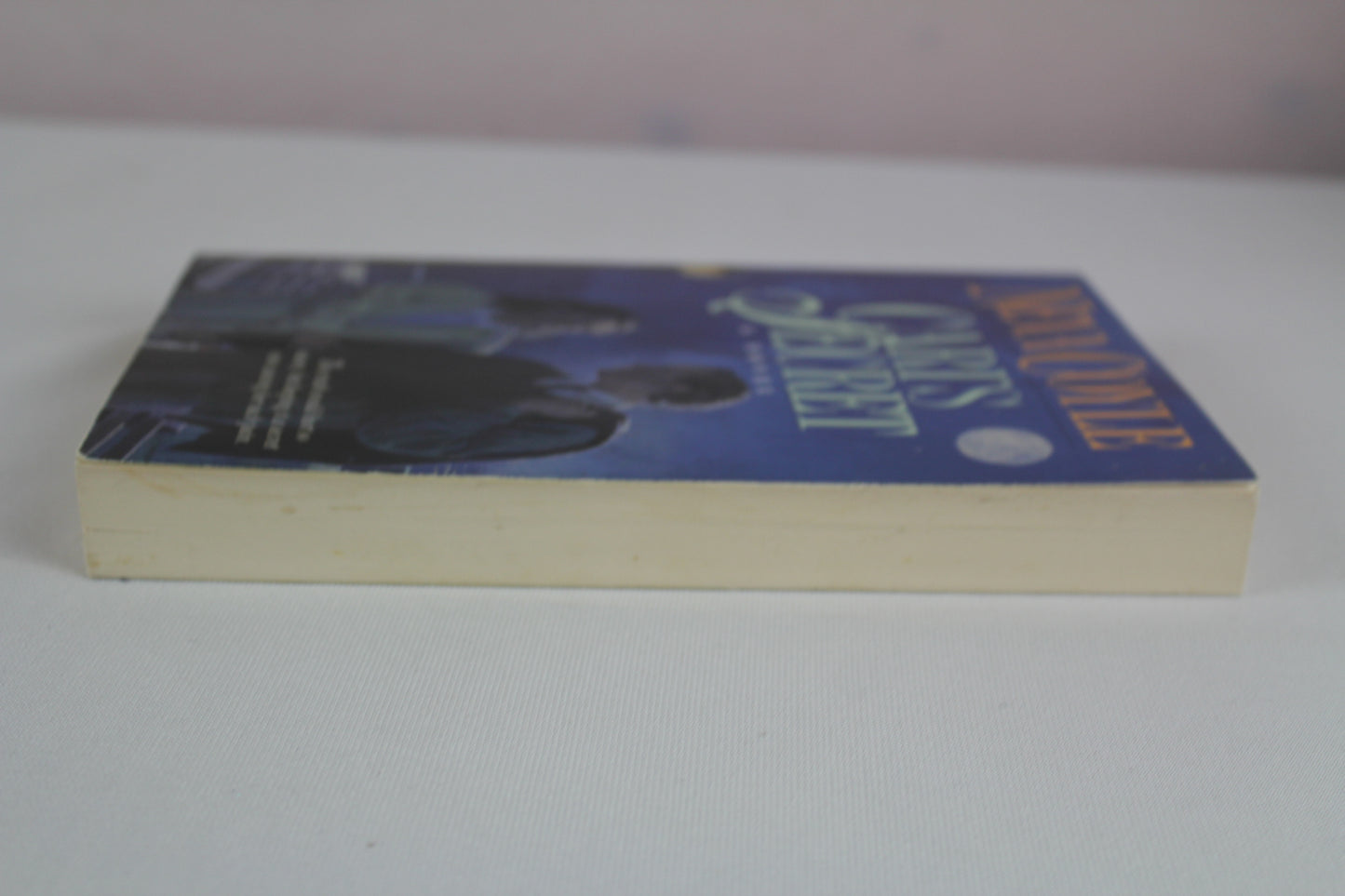 Cari's Secret by Neva Coyle