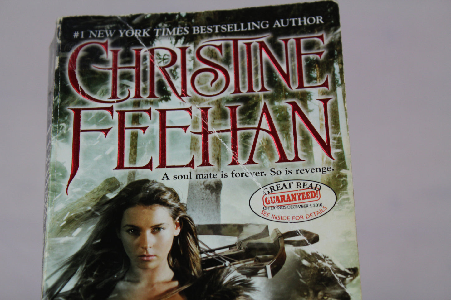 Dark Slayer (A Carpathian Novel) by Christine Feehan