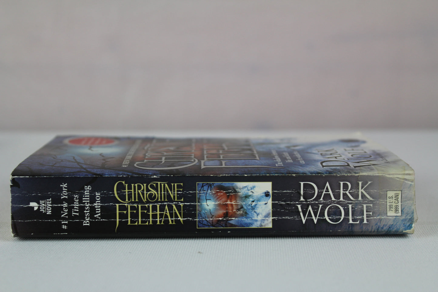 Dark Wolf (Carpathian Novel, A) by Christine Feehan