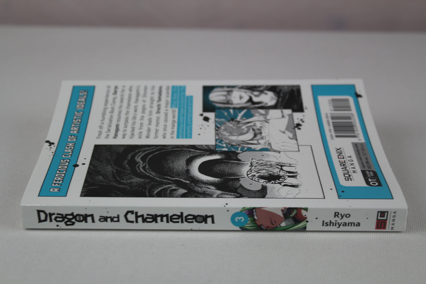 Dragon and Chameleon 03 by RYO ISHIYAMA