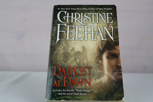 Darkest at Dawn (A Carpathian Novel) by Christine Feehan