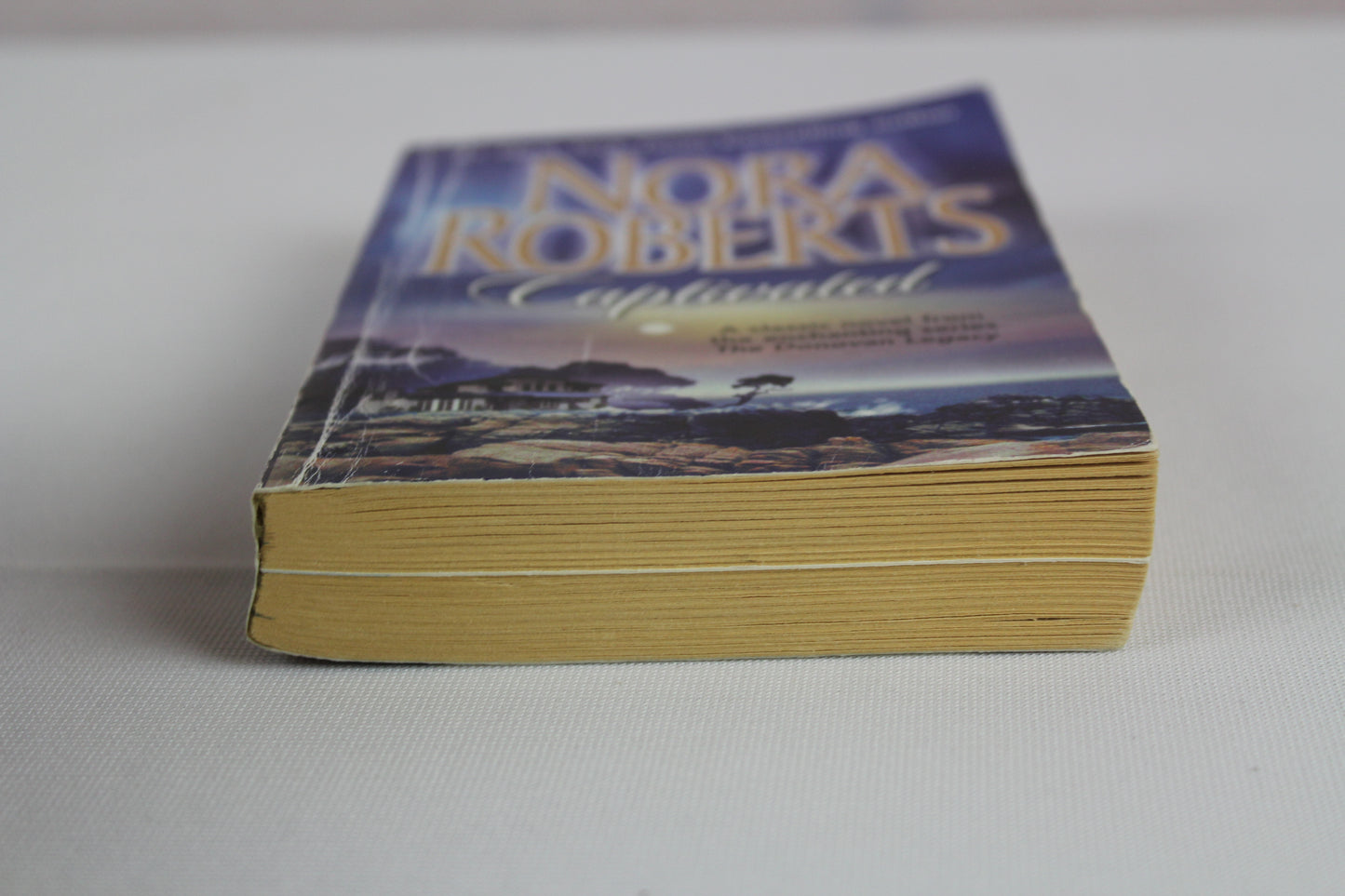 CAPTIVATED (Donovan Legacy) by Nora Roberts