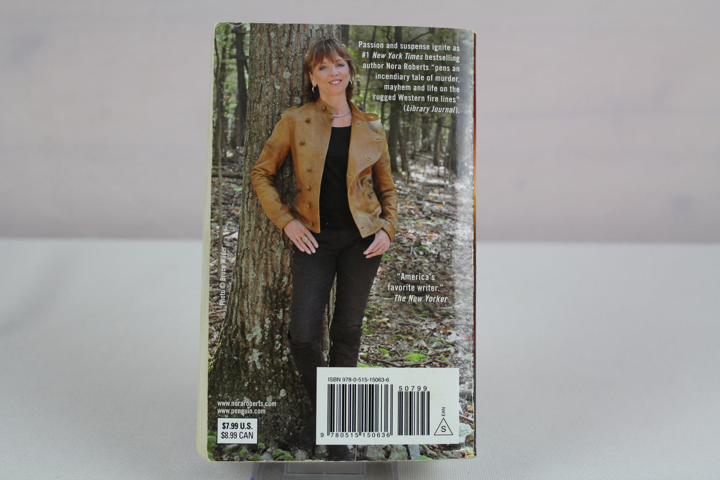 Chasing Fire by Nora Roberts
