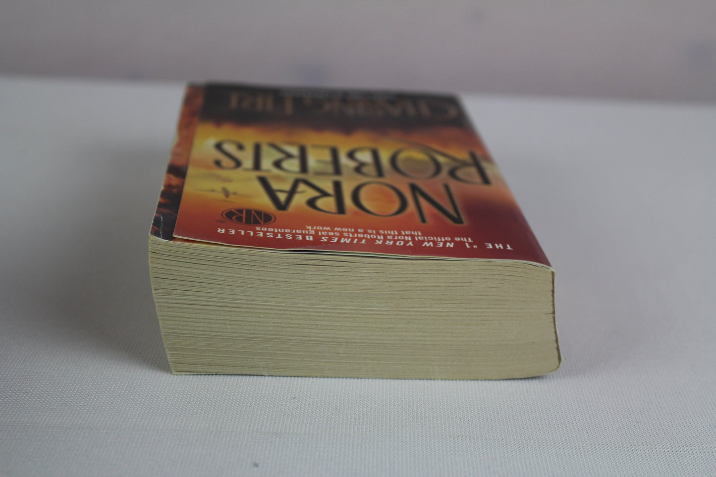 Chasing Fire by Nora Roberts